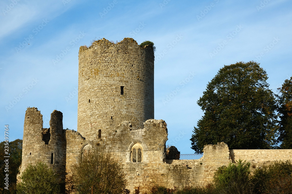 ruines du Château de Montreuil-Bonnin
