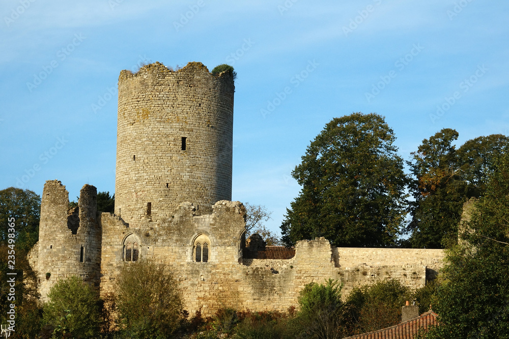 Ruine du donjon d'un château