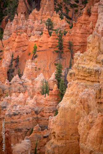 Bizarre, rote sandstein felsformationen mit wild wachsenden bäumen am hang, Bryce Canyon National Park, Utah, USA