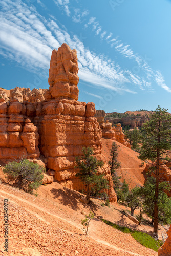 Tableau sur toile Bizarre, rote felsformationen mit vereinzelten Bäumen dazwischen, Red Canyon Sta
