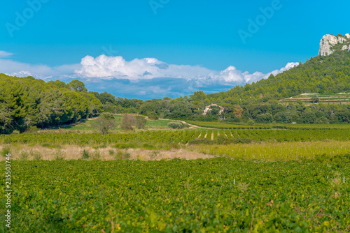 Paysage champêtre