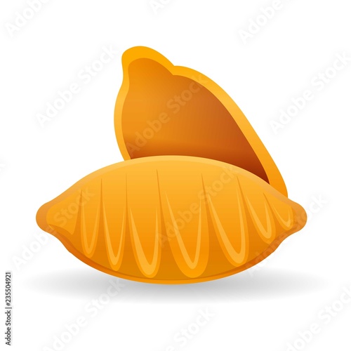 Konkiloni pasta icon. Cartoon of konkiloni pasta vector icon for web design isolated on white background photo