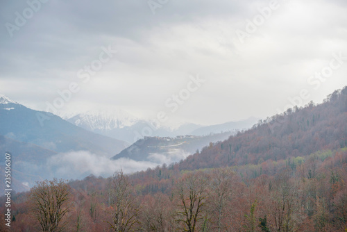 mountains and autumn forest in clouds and fog