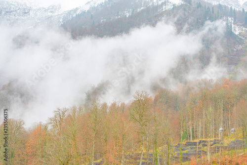 mountains and autumn forest in clouds and fog