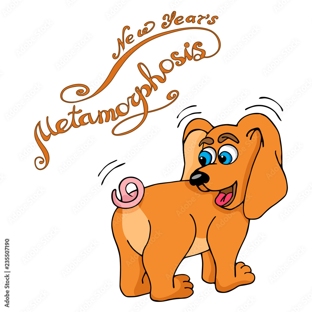 Why Is My Dogs Tail Turning White