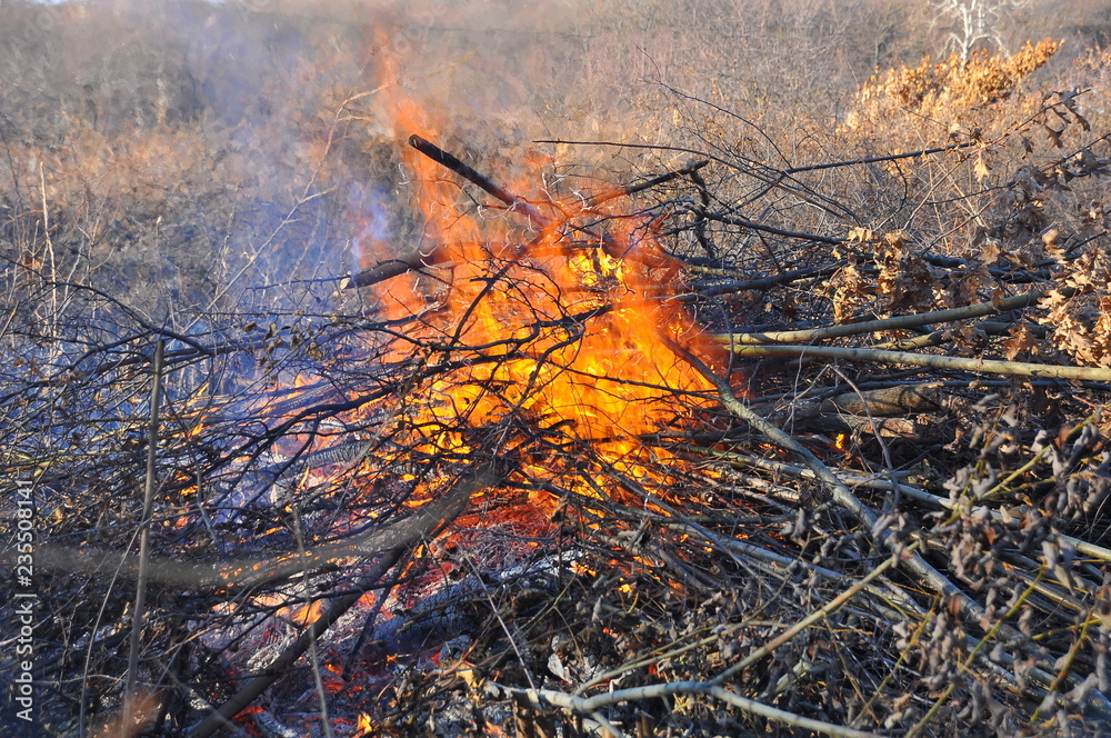 Bonfire tourists. Brushwood.
