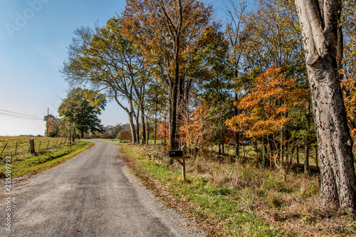 Autumn country road