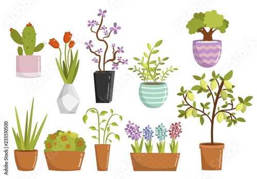 Big set cartoon room plant floral elements vector illustration