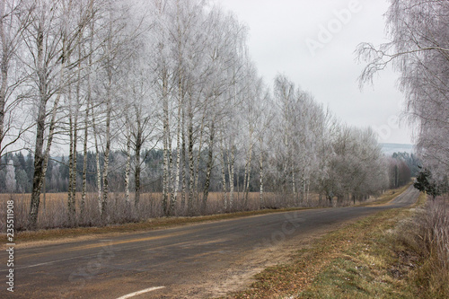 Village winter road. Iced trees near the road. winding country road.