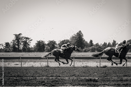 Fototapeta Naklejka Na Ścianę i Meble -  Race Horse on track