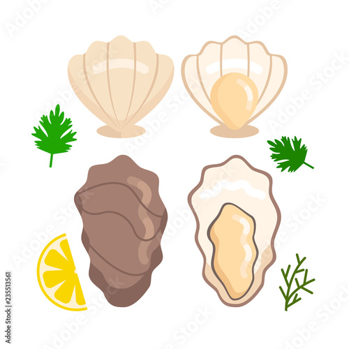 Fresh open and close oyster set. Sea food concept. Vector flat cartoon design graphic illustration icon