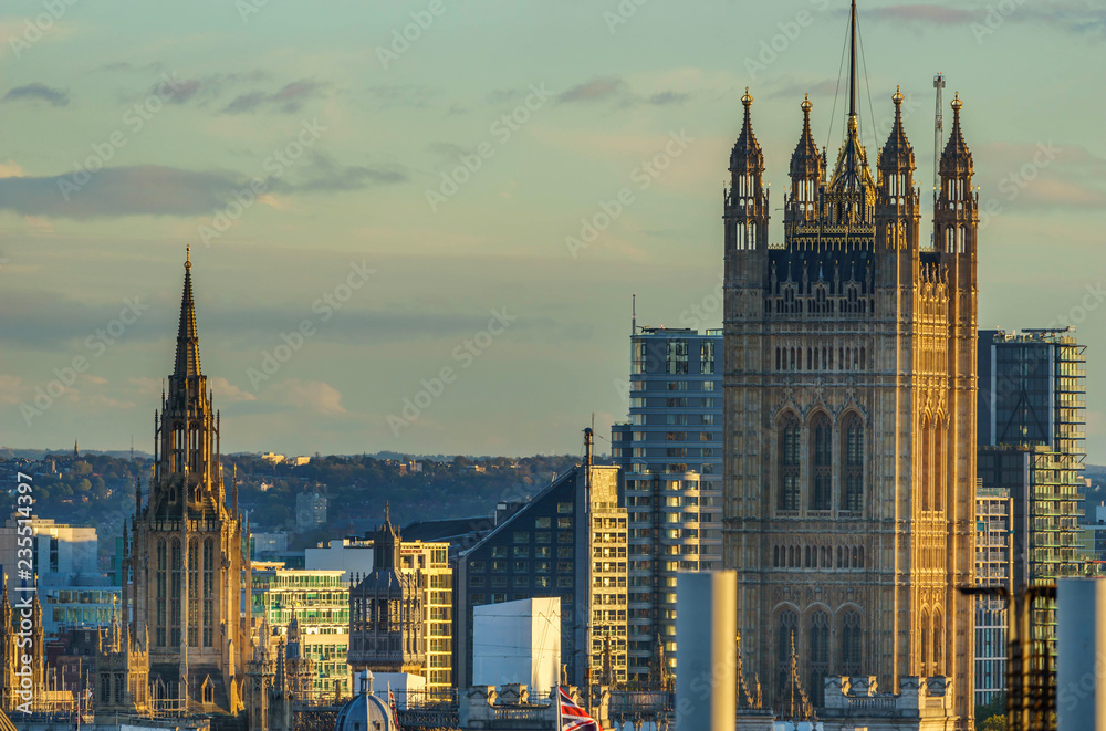Obraz premium The Houses of Parliament (Westminster Palace) seen from far during the afternoon