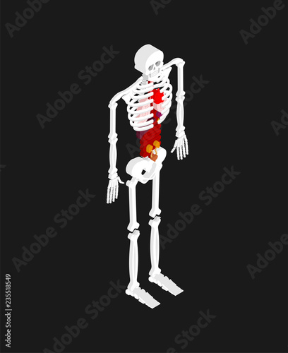 Fototapeta Naklejka Na Ścianę i Meble -  Human anatomy isometric. Skeleton and Internal organs 3D. Organ systems of body. Heart and kidneys. Brain and stomach. Blood vessels