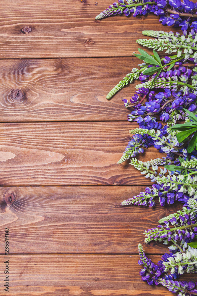 Brown wooden background with lupines