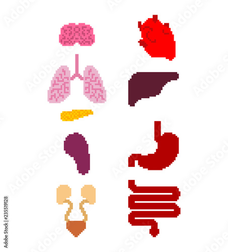Internal organ pixel art set. 8 bit anatomy of human body. Heart and brain. Esophagus and pancreas. Kidney and spleen. Lungs. Systems of man body and organs. medical systems Pixelate anatomy