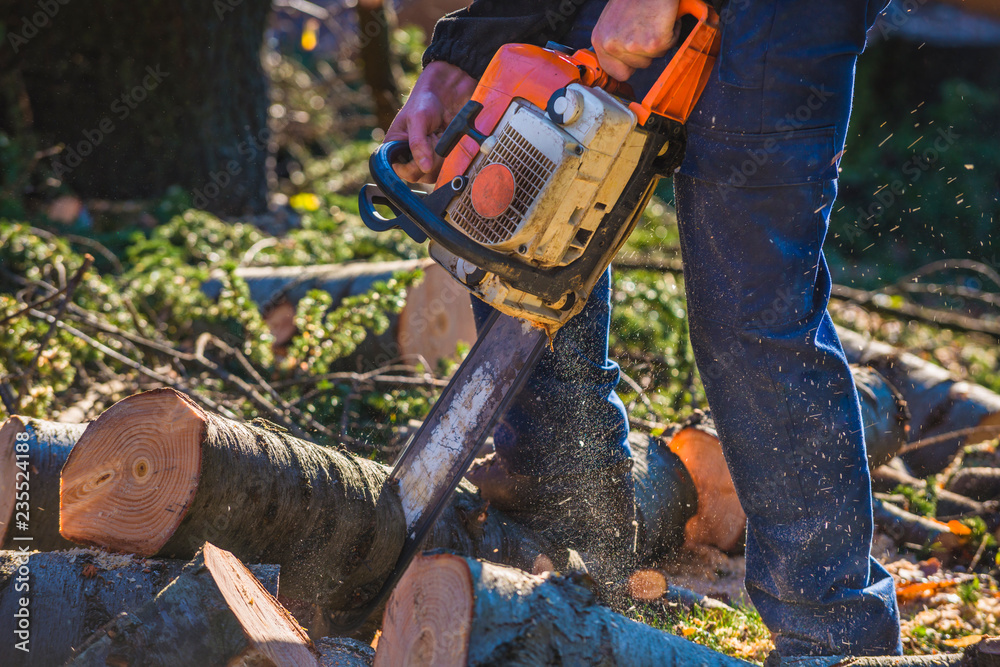 Comment Couper Un Arbre Avec Une Tronçonneuse