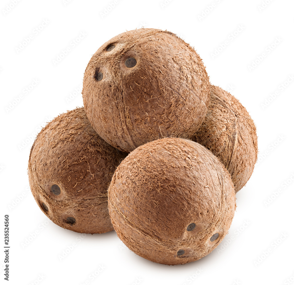 coconuts whole, isolated on white background, clipping path, full depth of field coconuts whole, isolated on white background, clipping path, full depth of field