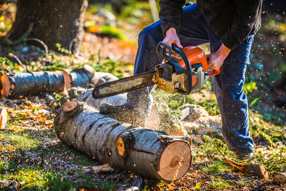 Comment Couper Un Arbre Avec Une Tronçonneuse