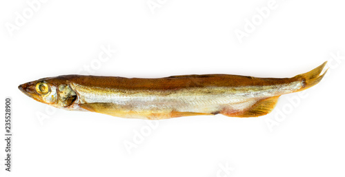 Smoked capelin on a white. The view from the top.
