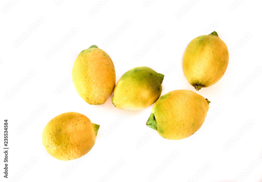 fresh lemons on white background. blank space for text. fresh lemons on white background. blank space for text.