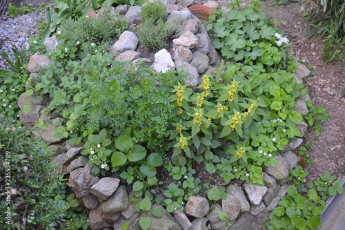Permaculture element - herb spiral