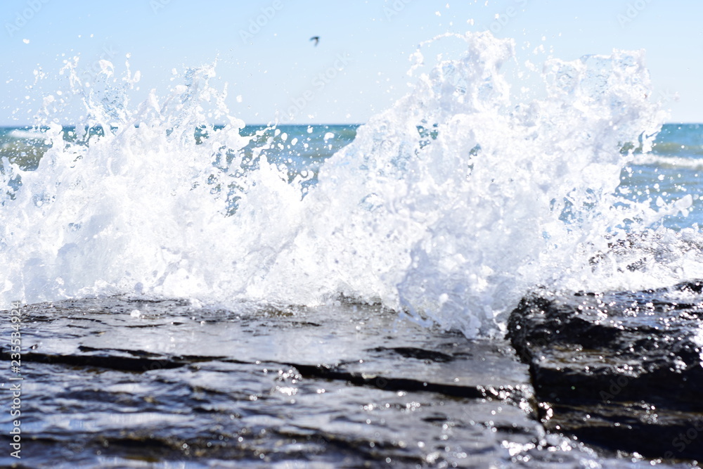 Obraz premium Красота Природа