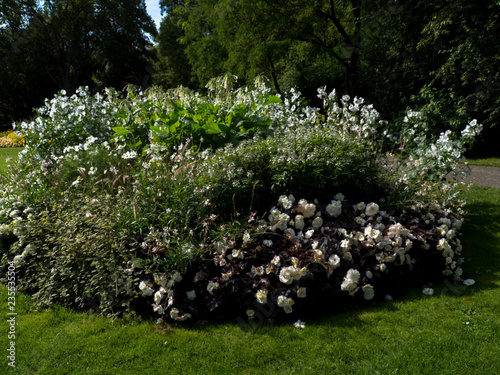 Flower sity design in park, Stockholm photo