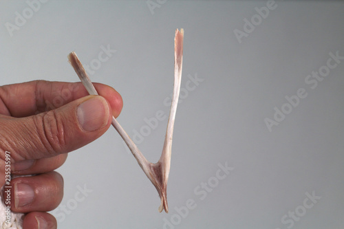 hand with wishbone photo