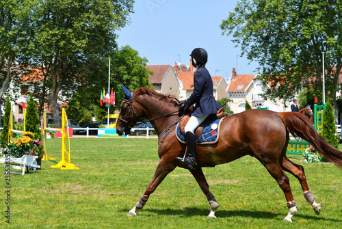 A rider on a beautiful horse, in a show jumping competition © jpr03