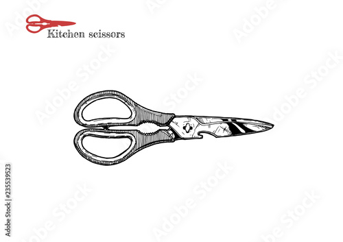 illustration of Kitchen scissors