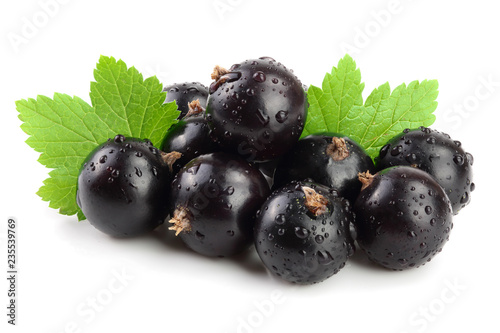 Photography black currant with leaf isolated on white background