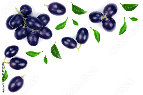 bue grapes isolated on the white background with copy space for your text. Top view. Flat lay pattern