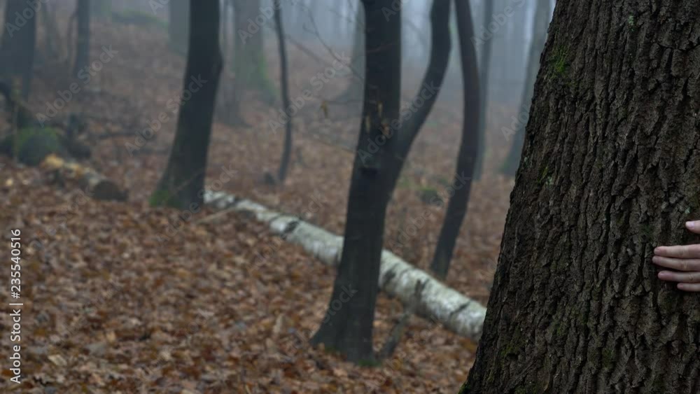 Man touches tree and goes into dense fog - (4K) Man touches tree and goes into dense fog - (4K)