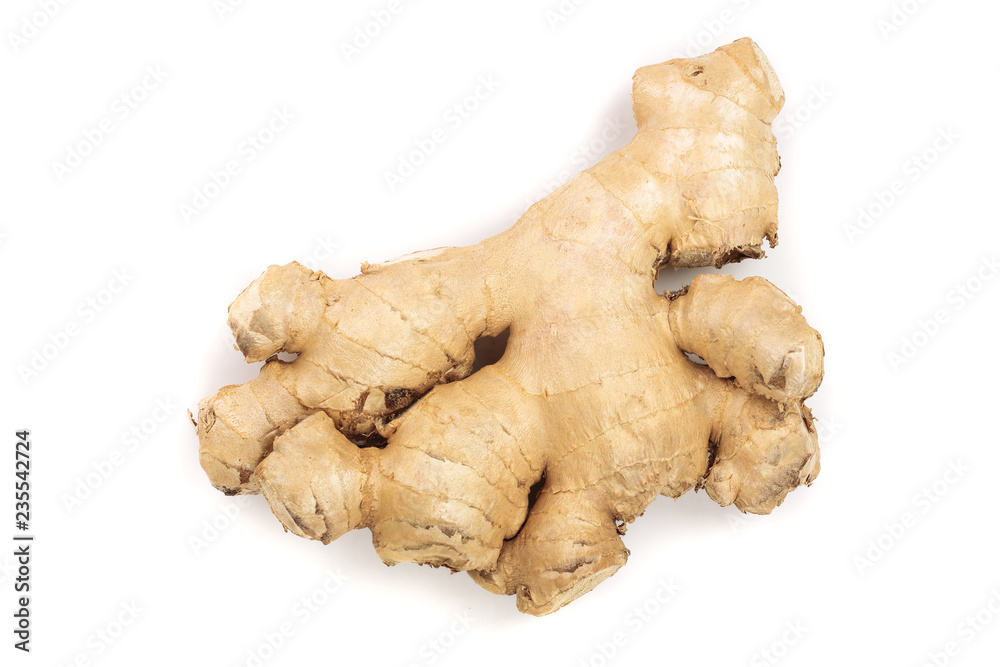 fresh Ginger root isolated on white background fresh Ginger root isolated on white background