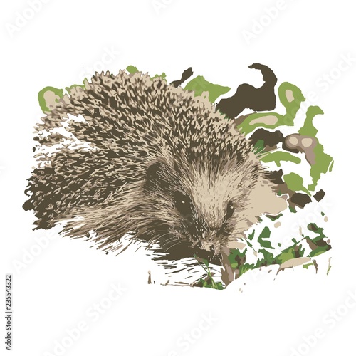 Kreative Zeichnung Igel