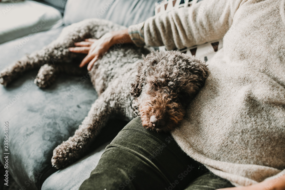 Obraz premium .Middle aged woman hugging and loving her sweet spanish water dog on the sofa of her home. Pet friendly. Lifestyle.