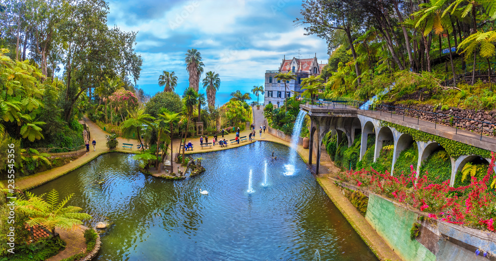 Beautiful panorama inside the tropical Garden of Madeira island in Portugal - obrazy, fototapety, plakaty 