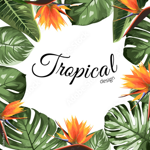 Tropical design border frame template with green jungle tree monstera leaves and strelitzia bird paradise flowers . Text placeholder. Vector design illustration.