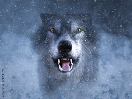 Photos 3D rendering of a grey wolf growling in snow.