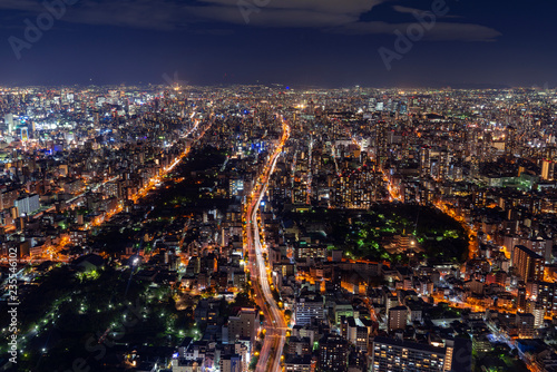 Wallpaper Mural [大阪府]大阪の夜景 Torontodigital.ca