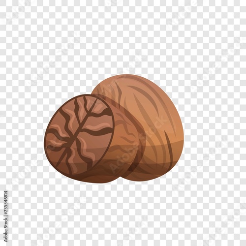 Nutmeg icon. Cartoon of nutmeg vector icon for web design  