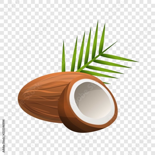 Coconut icon. Cartoon of coconut vector icon for web design  