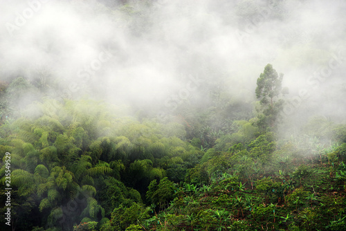 Misty mountain landscape in Buenavista, Quindio, Colombia, South America © Rechitan Sorin