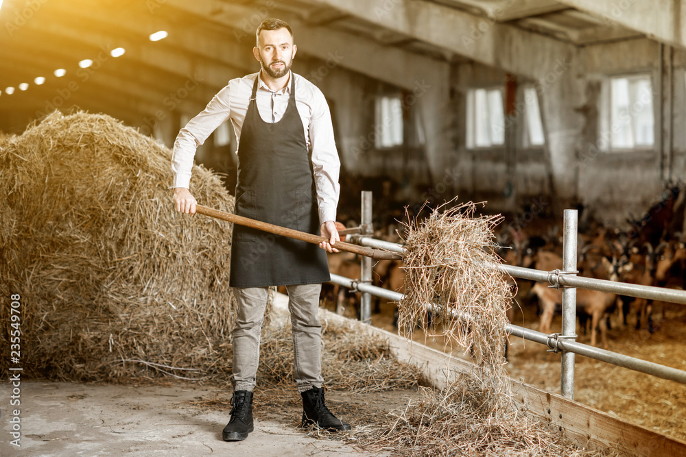 Portrait of a handsome farmer in apron working with hay in the stable at the goat farm