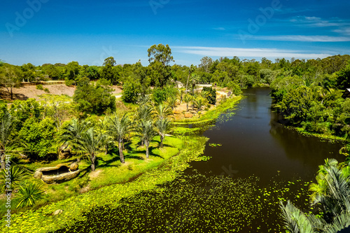 Landscape of River and Trees 