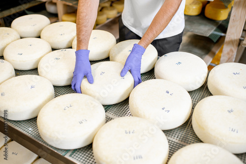 Принти на полотні Worker in protective gloves taking fresh salted cheese wheel ready for aging process at the manufacturing