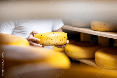 Holding cheese wheel at the cheese storage during the aging process. Close-up view with no face