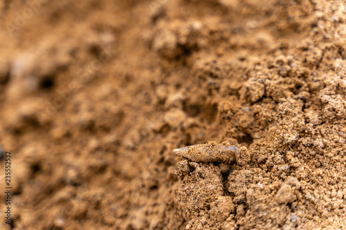 Closeup View of the Shot Bullet with Ballistic Marks in Sands