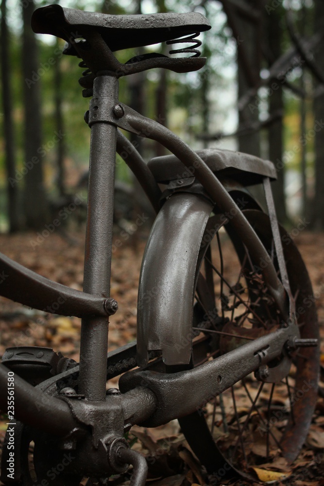 Rusty bicycle in the woods with dead leaves. Rusty bicycle in the woods with dead leaves.