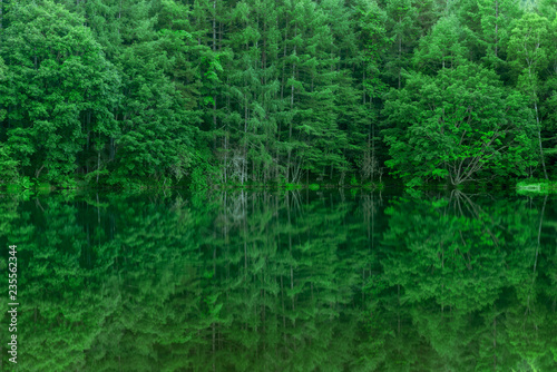静かな森の中の湖畔 御射鹿池 日本長野県茅野市